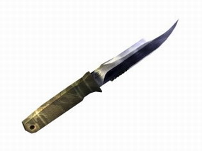 Badlands Bowie
